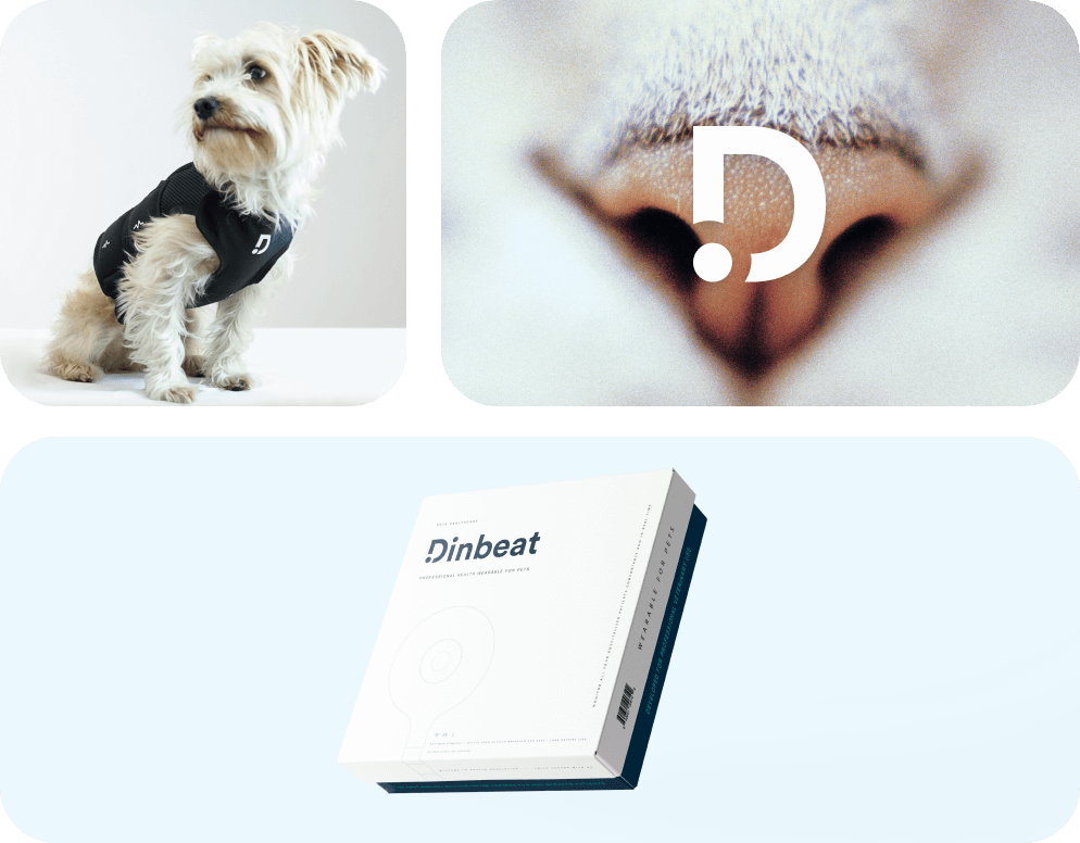 Dinbeat Branding product