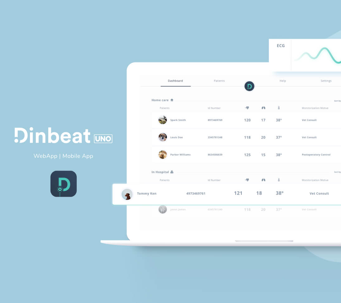 key achievements dinbeat product development