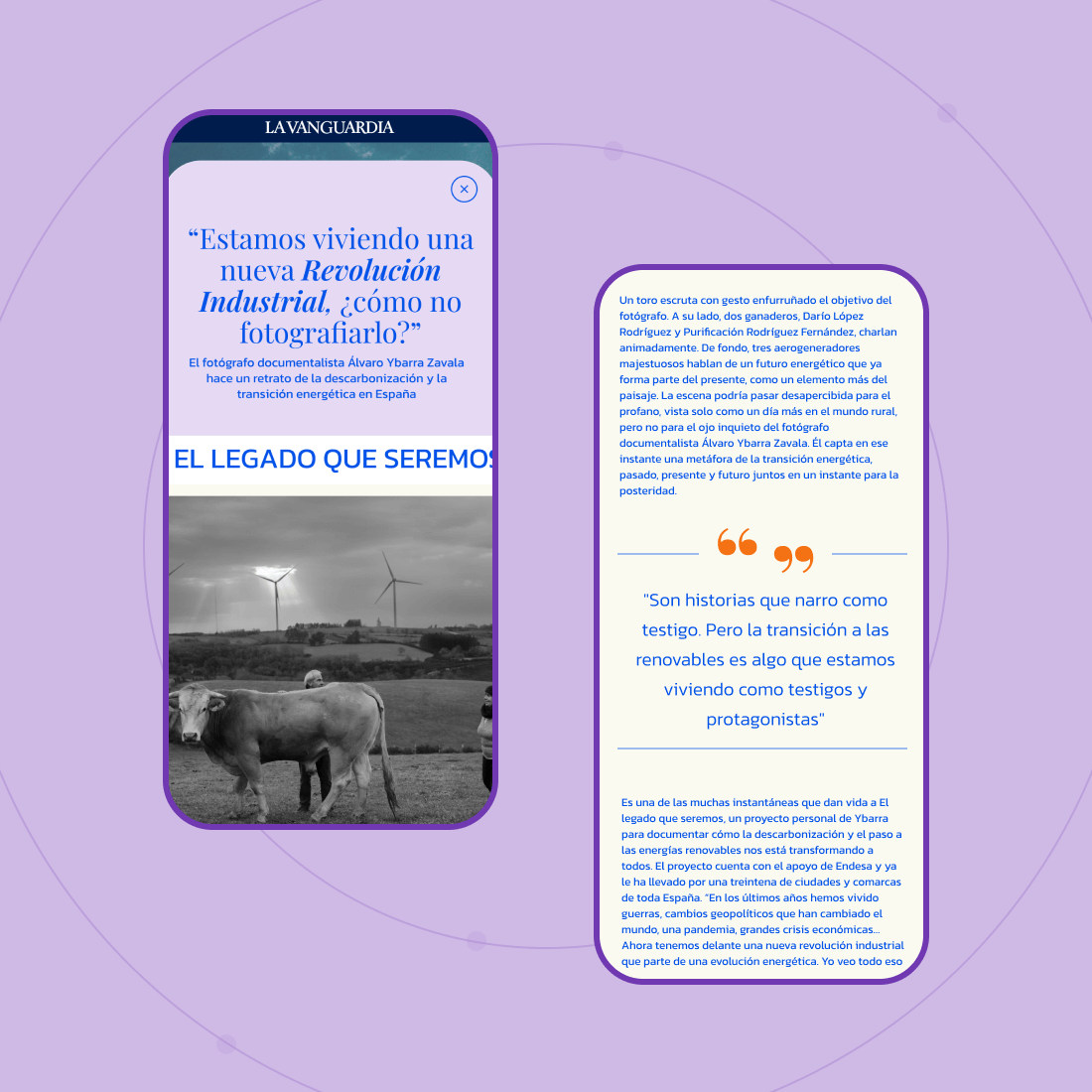 key achievements Endesa web development