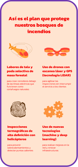 Mockup Endesa web development